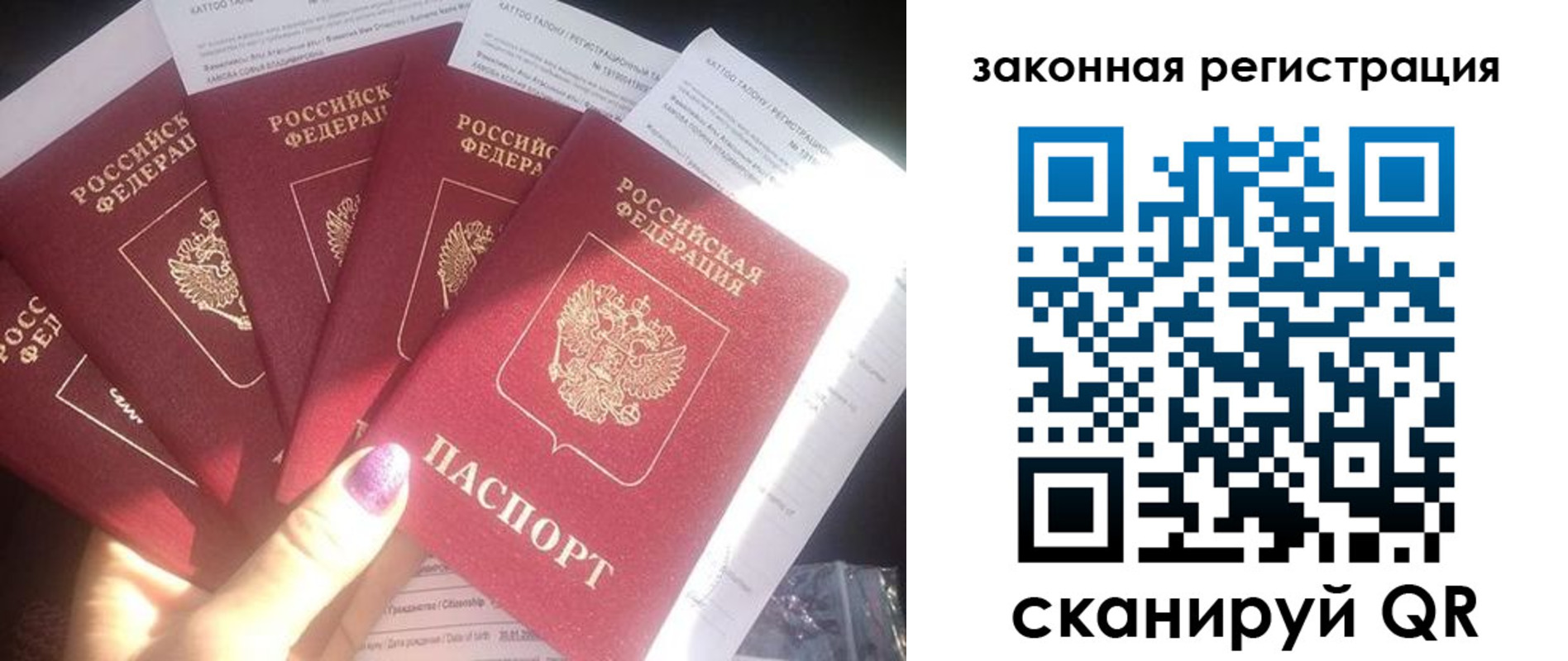 временная регистрация гарантия в Курской области